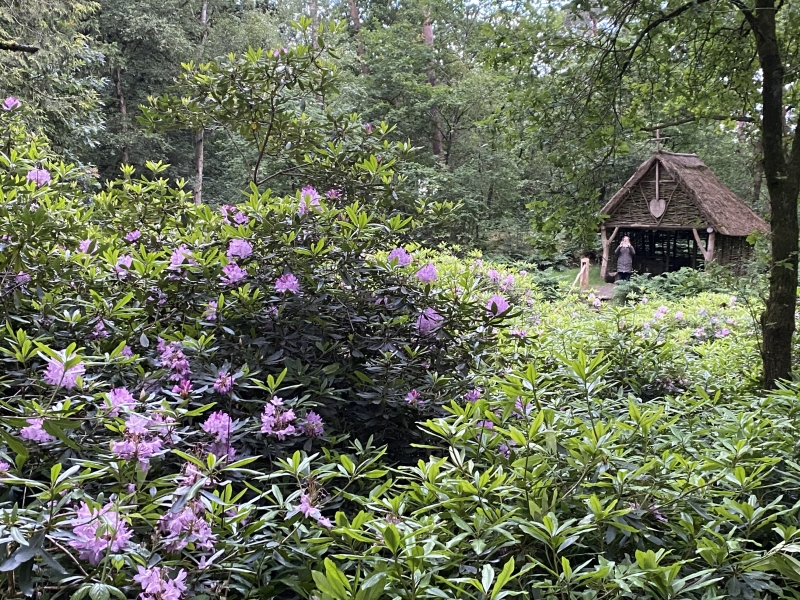 Historische kluizenaarshut verscholen tussen rododendrons in het bos van Vilsteren op de Escape Route.
