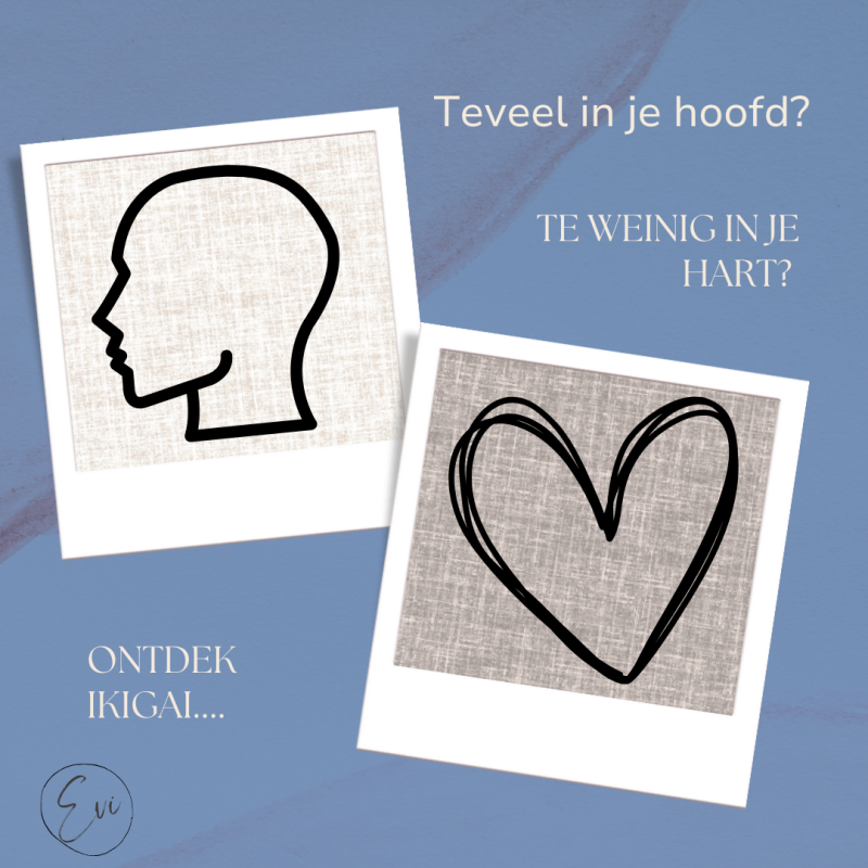 Leef jij teveel vanuit je hoofd?