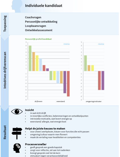 oorbeeld van een individueel motivatieprofiel op basis van de Intodrives Drijfverenscan met gekleurde drijfveren