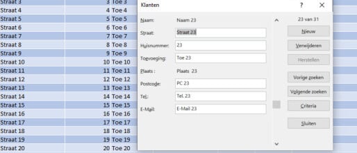 Bewerk Excel data sneller en beter met een Dataformulier