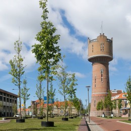 Voordelen van een aankoopmakelaar in Den Helder