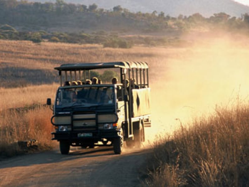 Pilanesberg National Park - Luxe Safari Zuid-Afrika