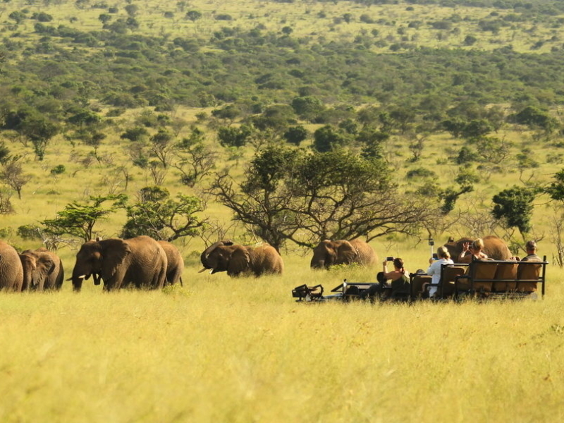 Thanda Game Reserve - Luxe Safari Zuid-Afrika