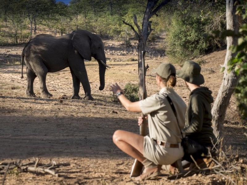 Ngala Game Reserve - Luxe Safari Zuid-Afrika