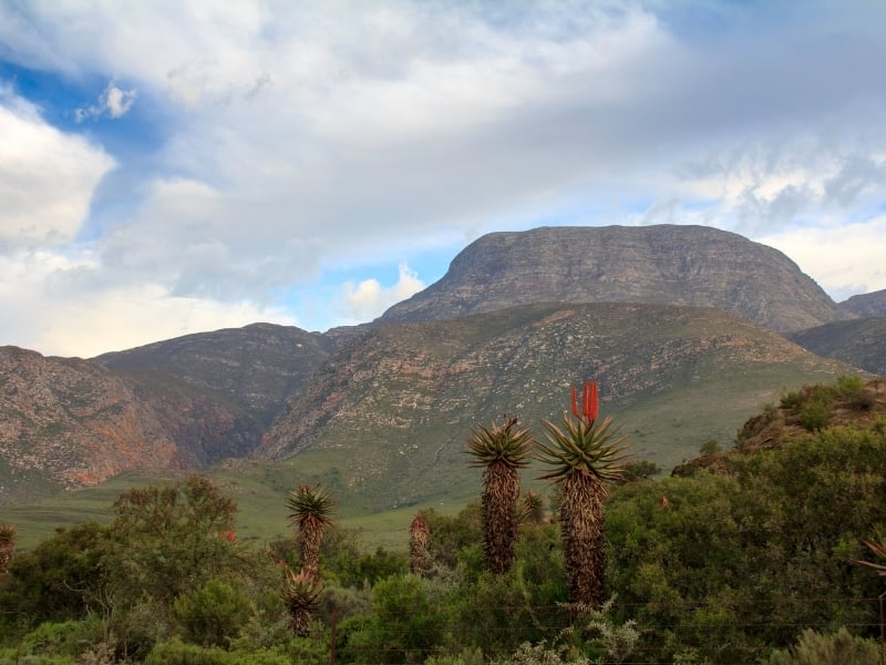 Eastern Cape - Provincies en Regio's Zuid-Afrika