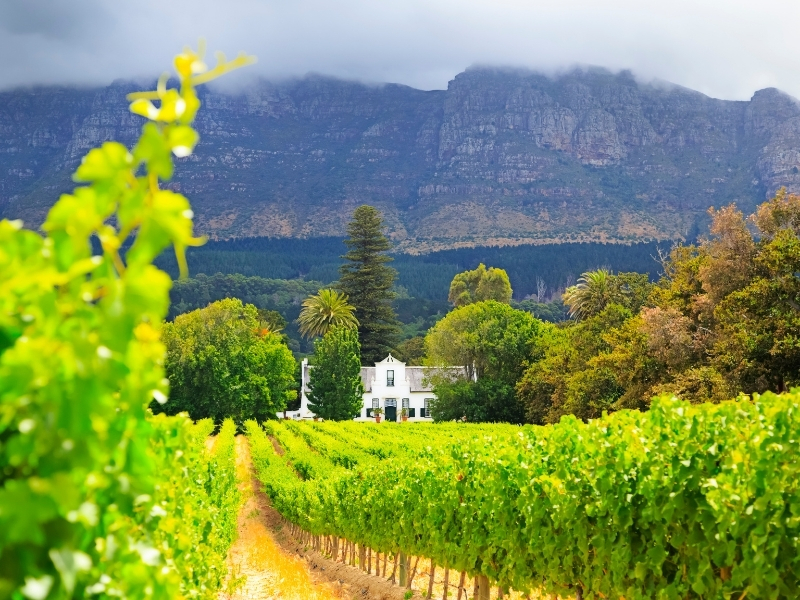 Cape Winelands - Provincies en Regio's Zuid-Afrika