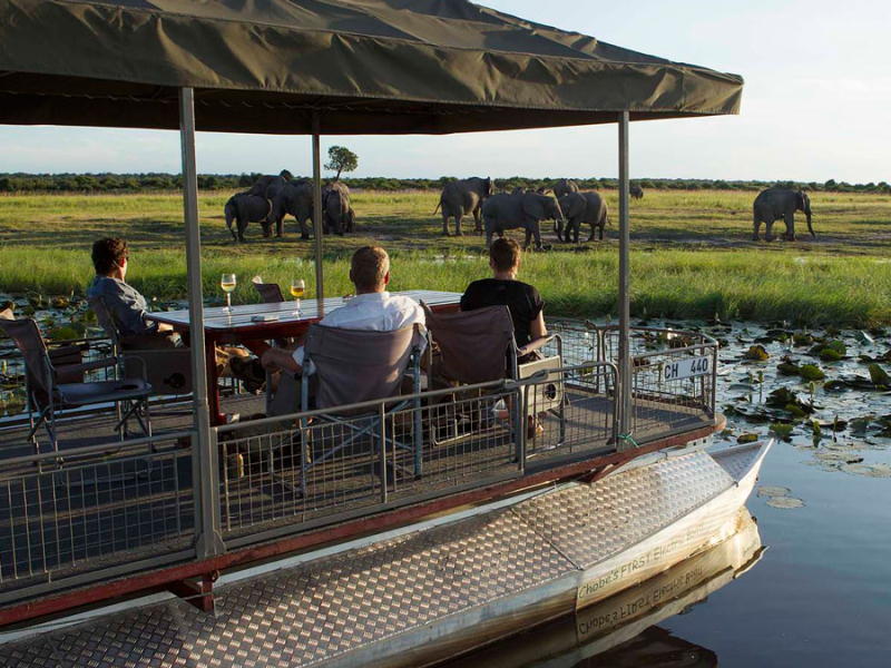chobe-game-lodge-botswana-river-safari