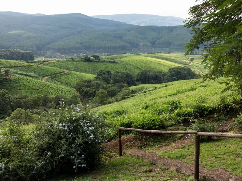 Limpopo - Provincies en Regio's Zuid-Afrika