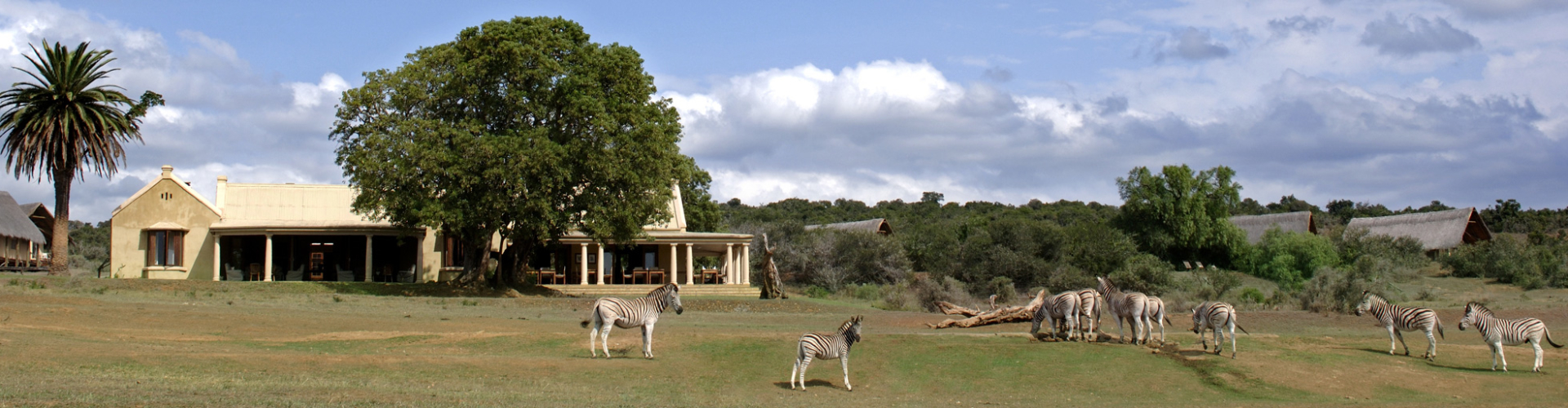 gorah-elephant-camp-addo-park-zuid-afrika-header