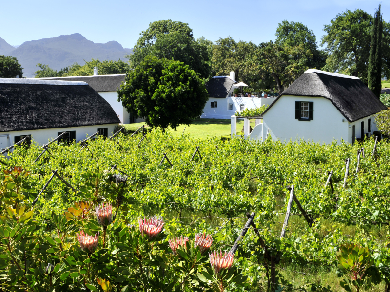 grande-roche-hotel-paarl-view-from-top-terrace-suites