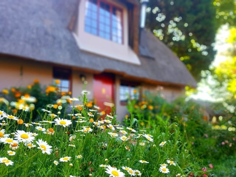Granny Mouse Country House - Luxe Accommodatie Drakensberge