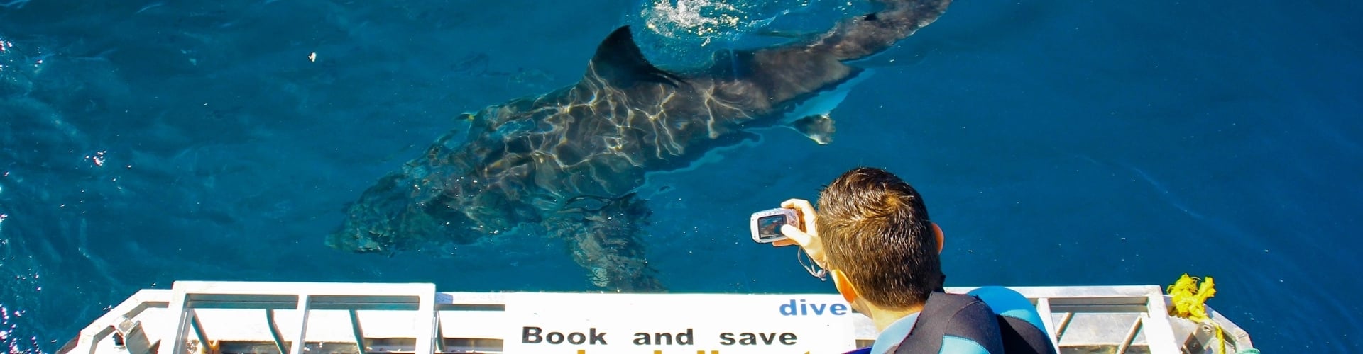 Haaien spotten - Activiteiten Zuid-Afrika