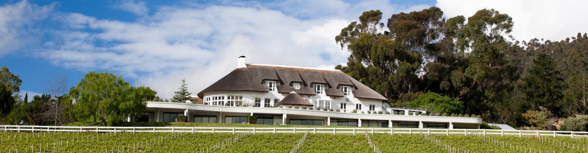 mont-rochelle-vineyard-hotel-franschhoek-zuid-afrika