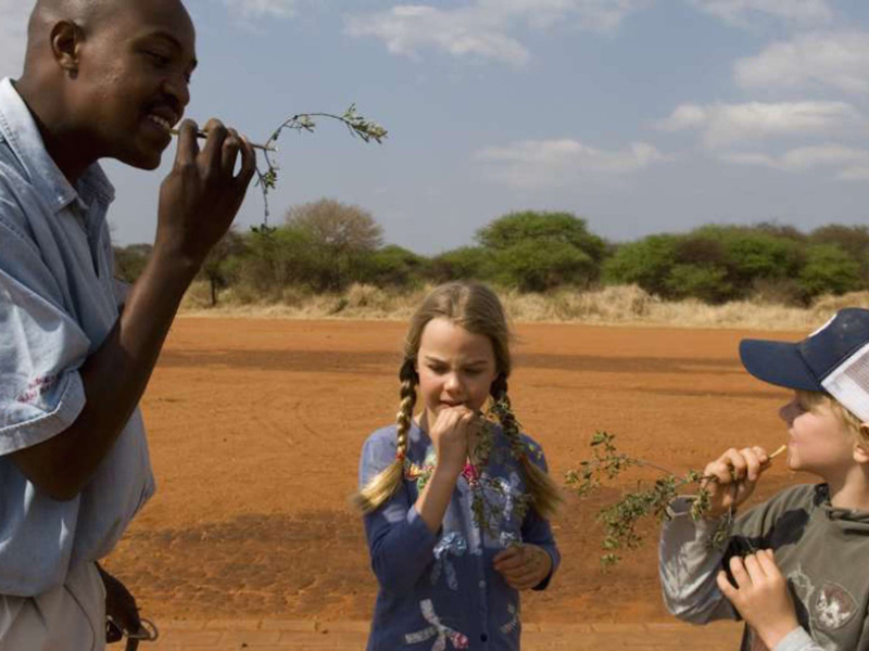 jacis-safari-lodge-madikwe-private-game-reserve-zuid-afrika-kinderen