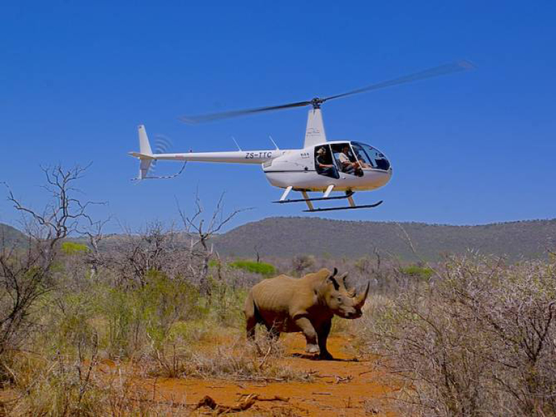 jacis-safari-lodge-madikwe-private-game-reserve-zuid-afrika-neushoorn-helicopter