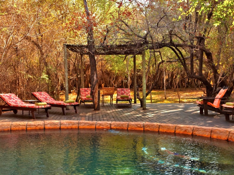 Jaci's Tree Lodge - Luxe Accommodatie Madikwe