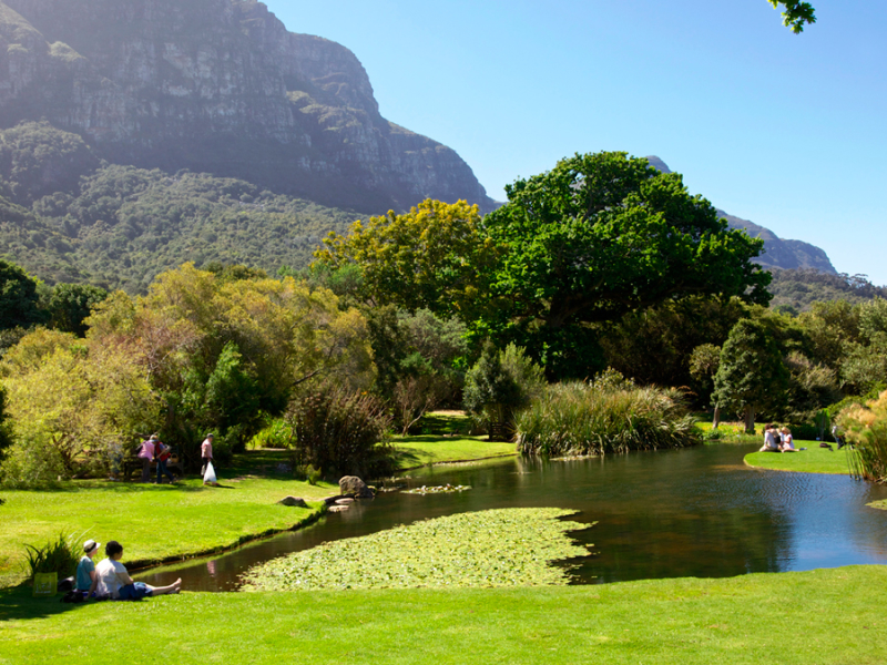 Kirstenbosch Gardens - Kaapstad Zuid-Afrika