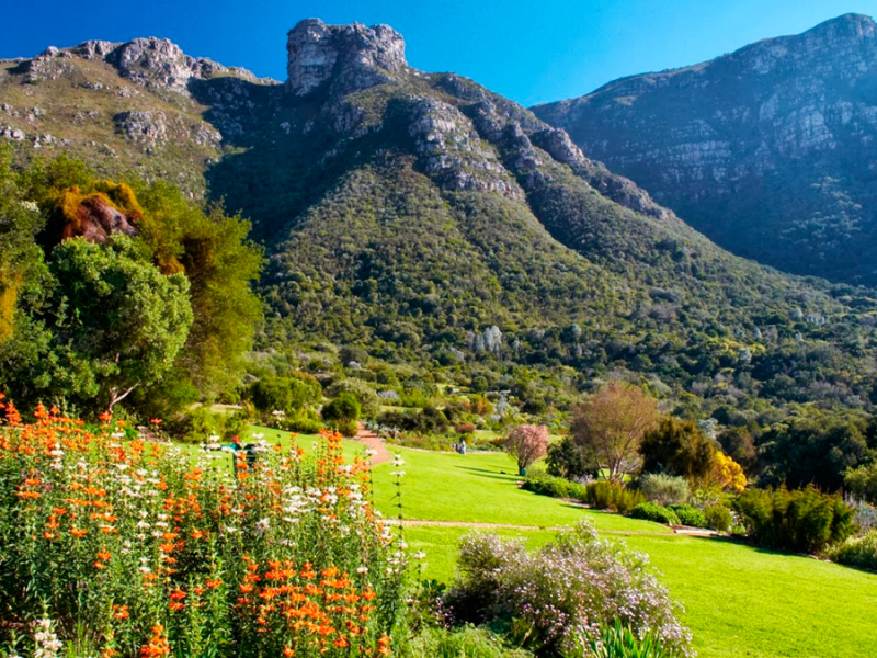 Kirstenbosch Gardens - Kaapstad Zuid-Afrika