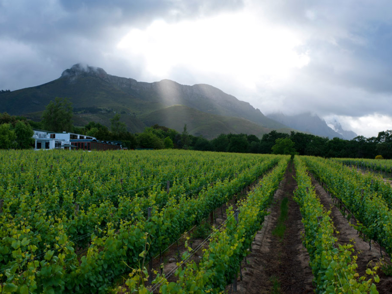 Lanzerac Manor Hotel - Luxe Accommodatie Stellenbosch