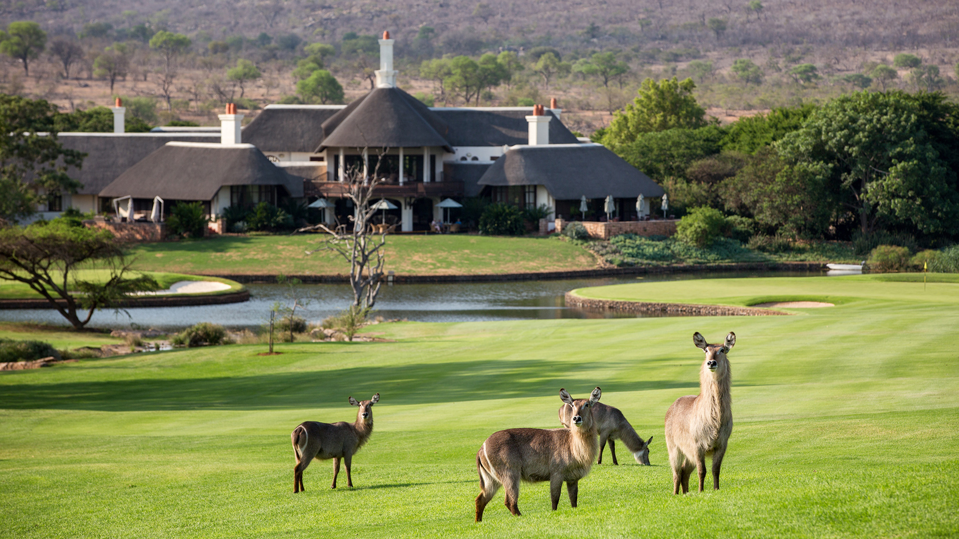 Leopard Creek Golf Club Zuid-Afrika