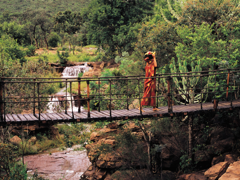 makweti-safari-lodge-welgevonden-private-game-reserve-loopbrug