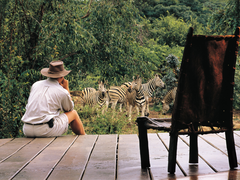 makweti-safari-lodge-welgevonden-private-game-reserve-zebras