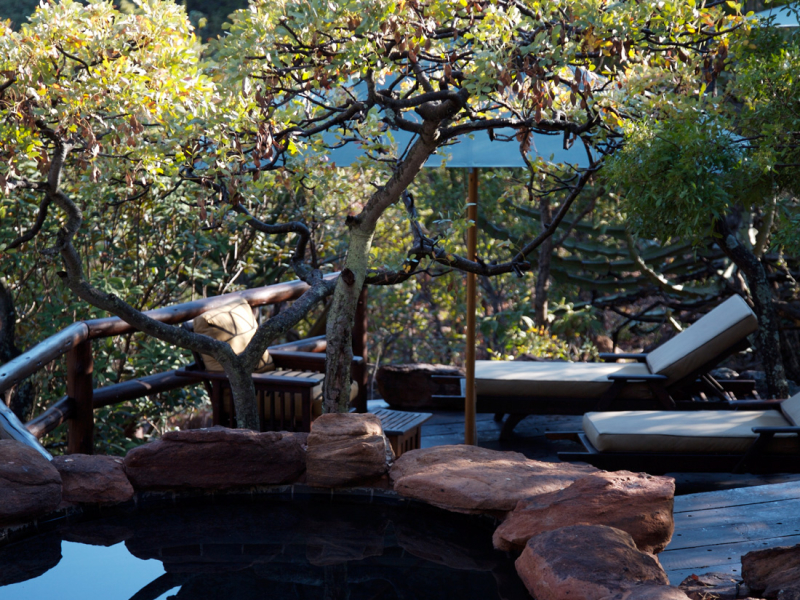 Makweti Safari Lodge - Luxe Accommodatie Welgevonden