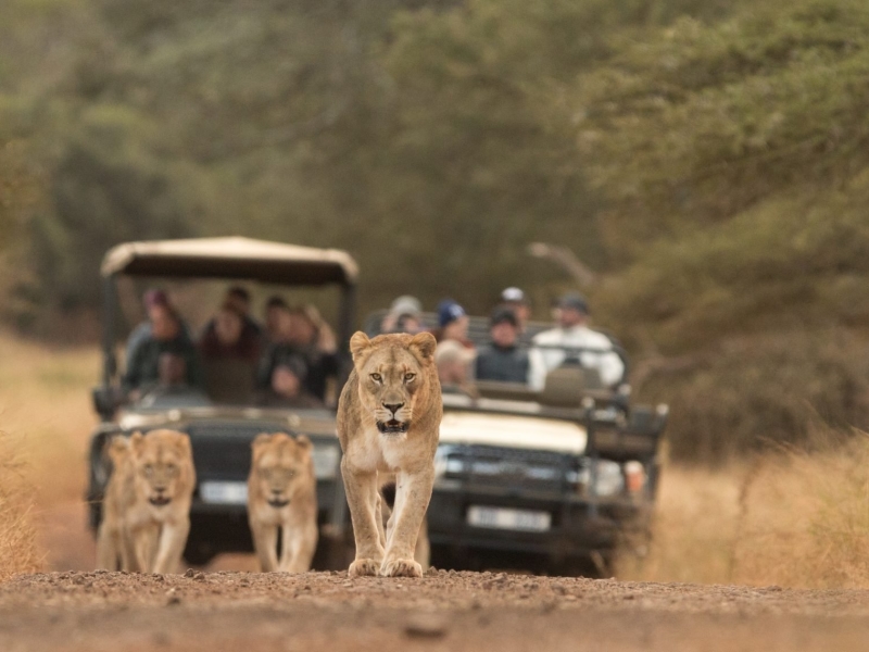 Hluhluwe Umfolozi Game Reserve - Luxe Safari Zuid-Afrika