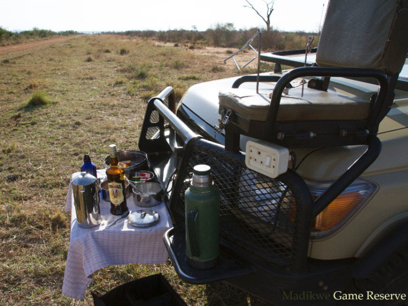 Madikwe Game Reserve - Luxe Safari Zuid-Afrika