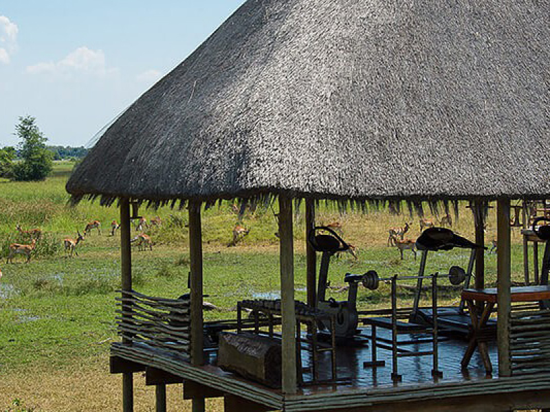 Mombo Camp - Luxe Accommodatie in Botswana