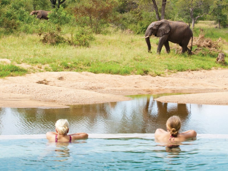 motswari-private-game-reserve-lodge-safari-timbavati-zwembad-olifant