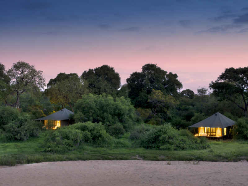 Ngala Tented Camp - Luxe Accommodatie Krugerpark