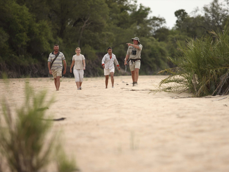 Ngala Tented Camp - Luxe Accommodatie Krugerpark