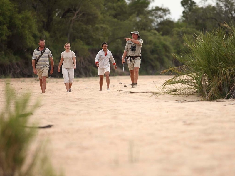 ngala-tented-camp-walking-safari