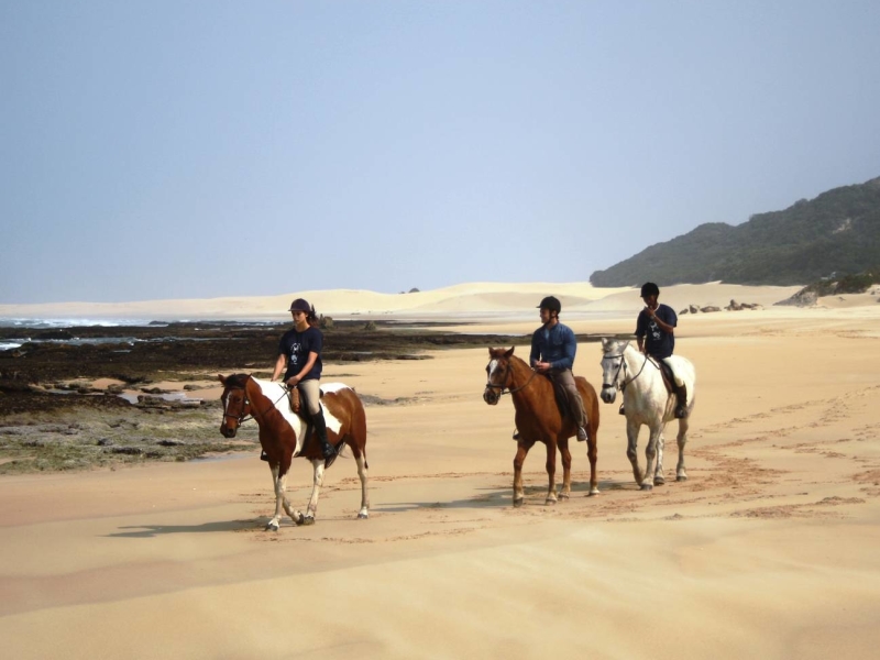 oceana-beach-resort-wildlife-reserve-horse-riding-on-beach-eastern-cape-south-africa