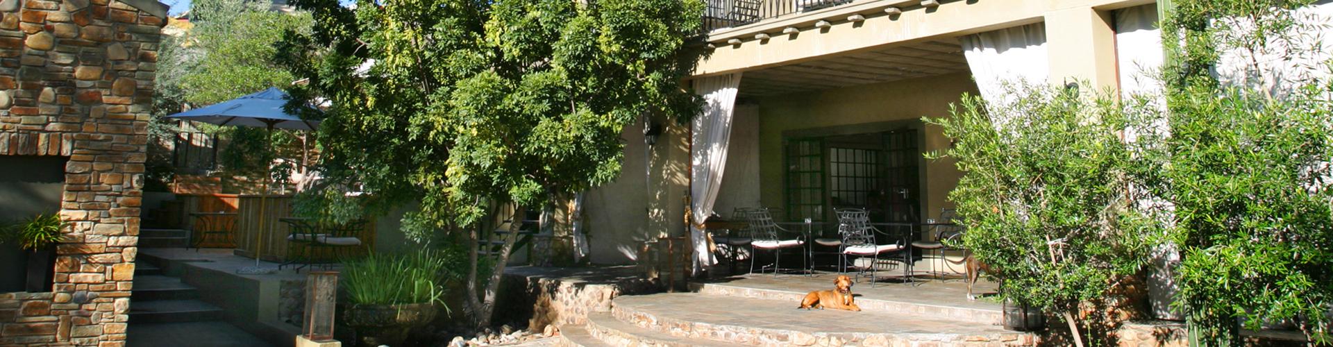 olive-grove-guesthouse-namibie-header