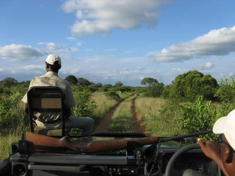 Phinda Game Reserve - Luxe Safari Zuid-Afrika
