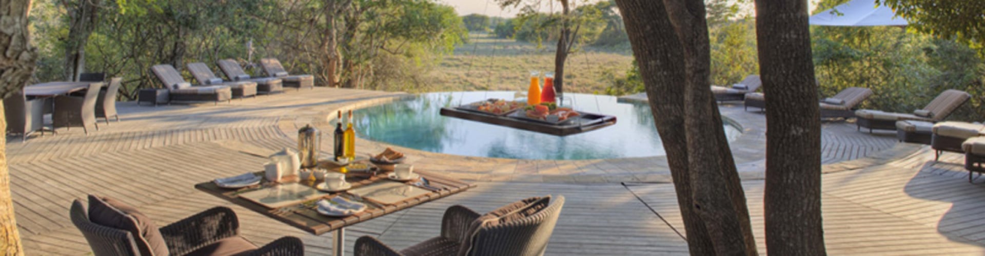 Phinda Forest Lodge - Luxe Accommodatie KwaZulu Natal