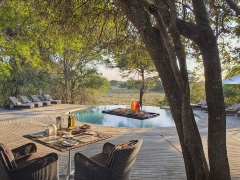 Phinda Forest Lodge - Luxe Accommodatie KwaZulu Natal