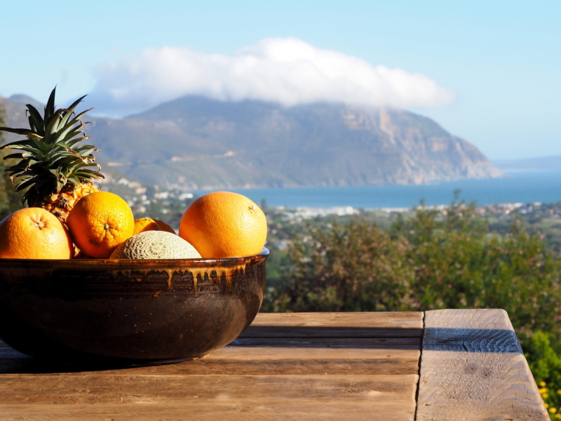 pure-guest-house-hout-bay-zuid-afrika-fruits