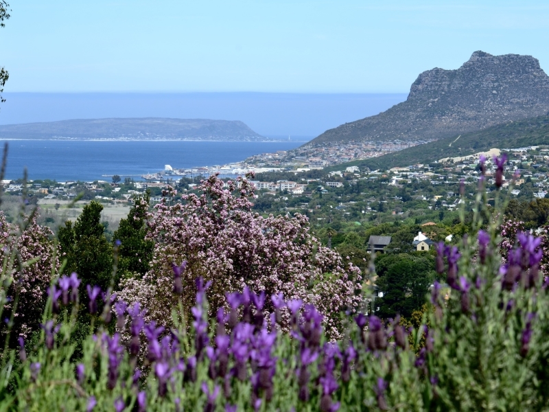 pure-guest-house-hout-bay-zuid-afrika-scenery-view