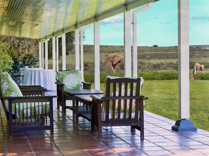 River Bend Lodge - Luxe Accommodatie Addo Elephant Park