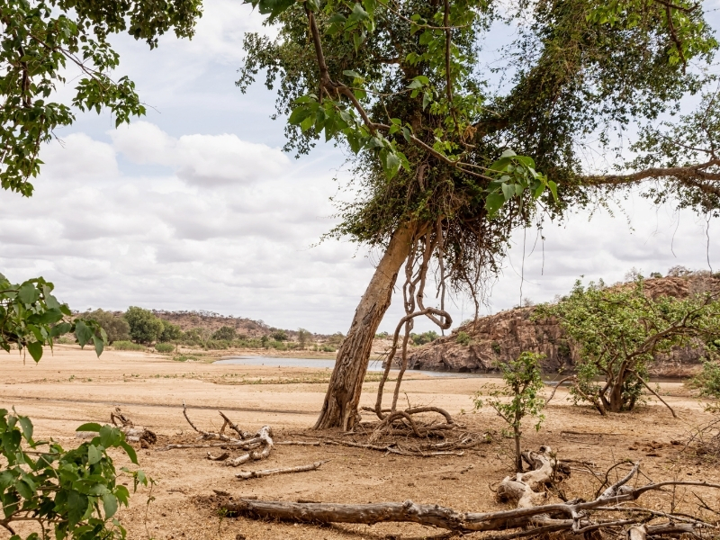 Limpopo - Provincies en Regio's Zuid-Afrika