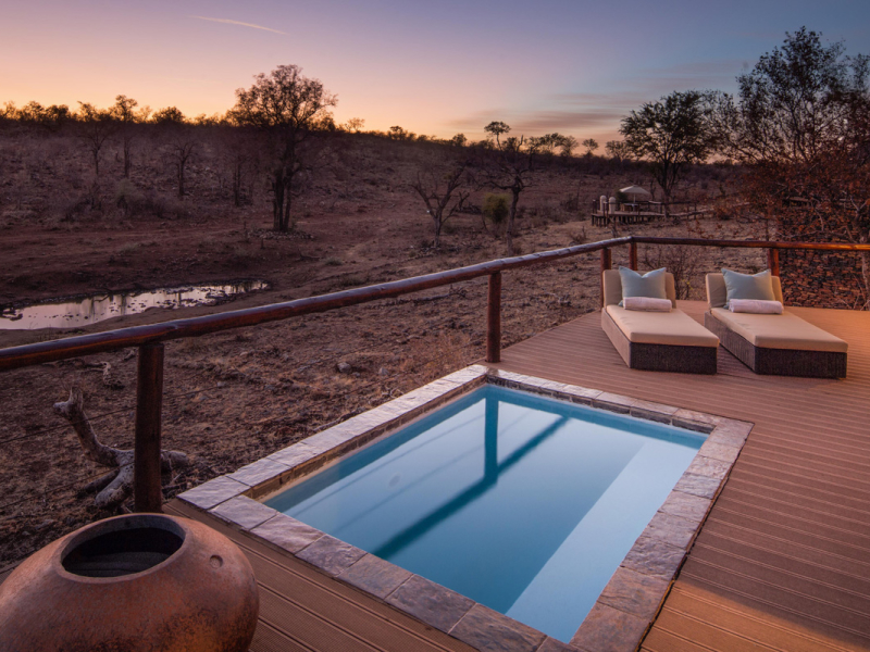 Royal Madikwe Lodge - Luxe Accommodatie Madikwe