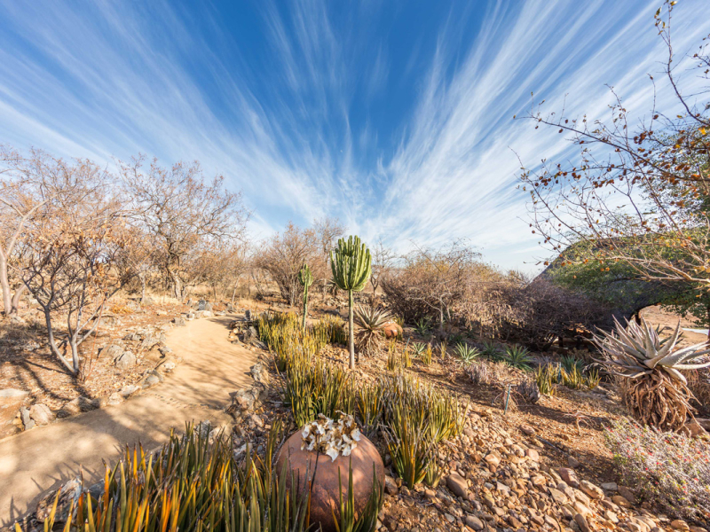 Royal Madikwe Lodge - Luxe Accommodatie Madikwe