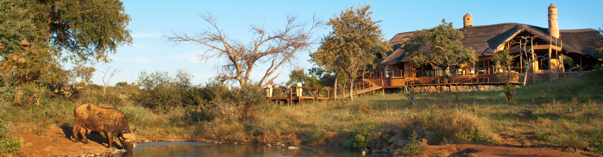 royal-madikwe-safari-lodge-madikwe-game-reserve-zuid-afrika