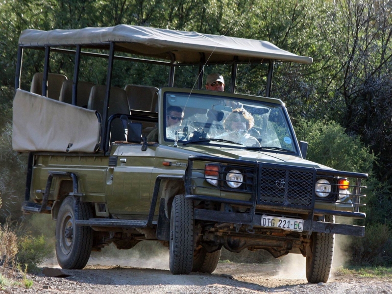 safari-south-africa-gamedrive