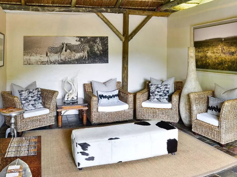 shamwari-bayjethe-lodge-lounge