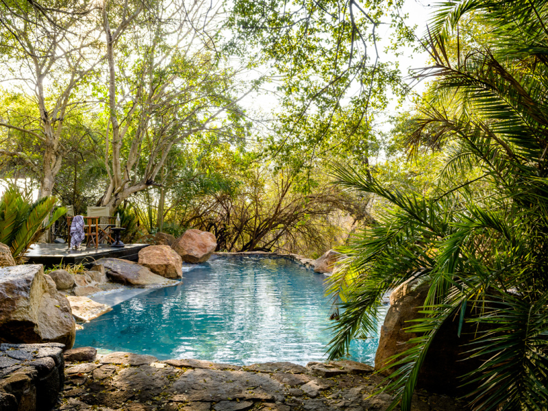 Singita Ebony Lodge - Luxe Accommodatie Krugerpark