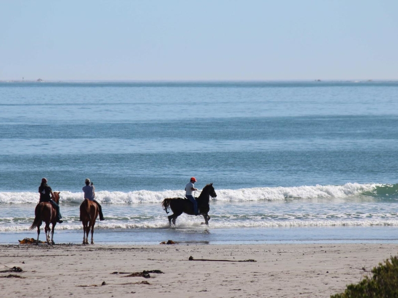 strandloper-ocean-paternoster-zuid-afrika-paardrijden